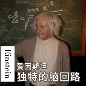 爱因斯坦：我眼中的世界