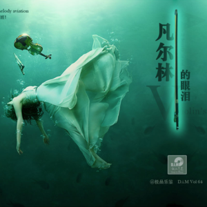 【这世间最美的提琴】凡尔林的眼泪Violin's Tears