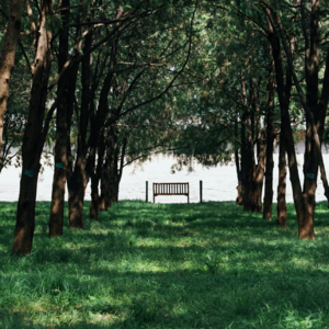 E08 往回看，命运不过是一条清晰的线｜史铁生给印人的「好运设计」