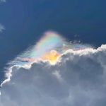 薛定谔不想来麦田打鼓