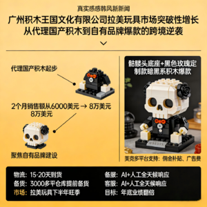 月销涨13倍的广州大卖！ 2026年如何做好拉美市场？