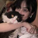 AgNes_ZNI3