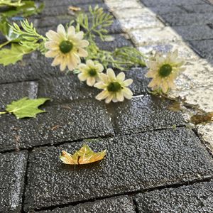 podcaster-avatar