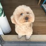 模模糊糊胡萝卜