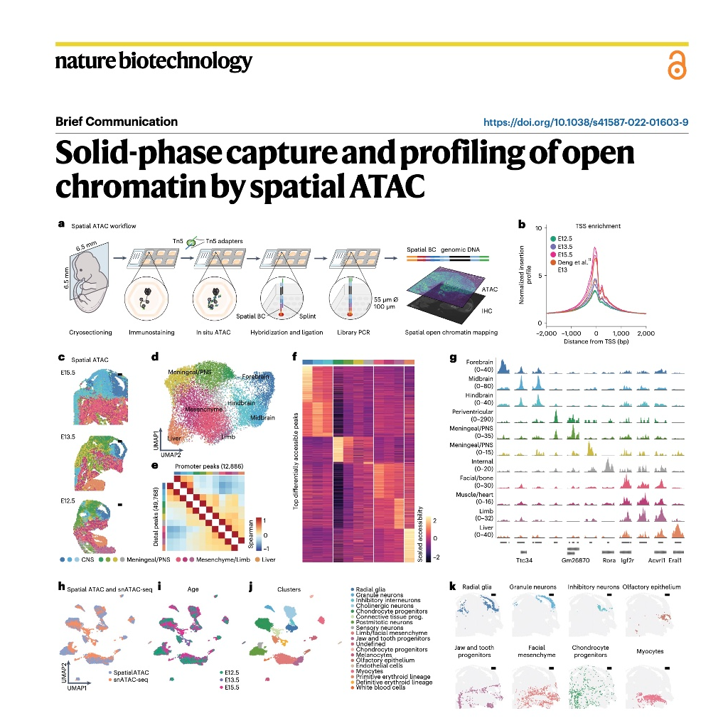 844-Spatial ATAC: Epigenomic Profiling in Tissue Sections episode artwork