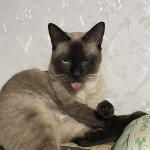 C0CO