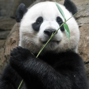 睡前故事九：小奇迹—帅气的海归王子