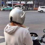 蚊七酱酱酱