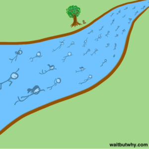 如何用厨师思维选择职业