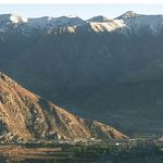 无可奈何沙茶来