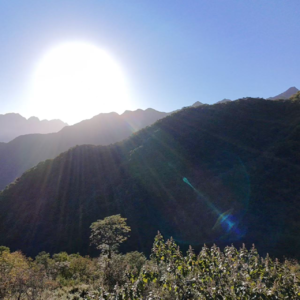 道长2024甲辰年修行回顾|小宇宙开通一周年总结|2025年乙巳年云隐终南与云解老庄分享大致方向