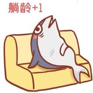 躺平KK