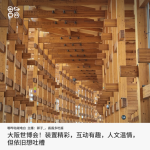 017: 大阪世博会！装置精彩，互动有趣，人文温情，但依旧想吐槽