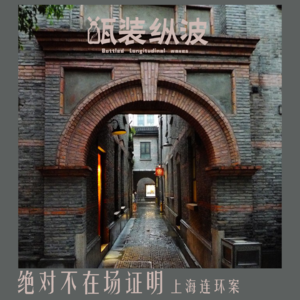 29.绝对不在场证明：上海连环案