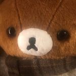 想要轻松一点的熊