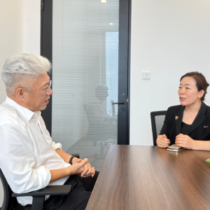 15 从甘薇官宣和贾跃亭离婚说起，聊聊“技术性离婚”，夫妻共同资产、共同债务，家庭企业风险隔离