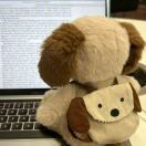 只是芝士知识知世