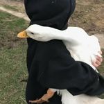 随缘幸运儿