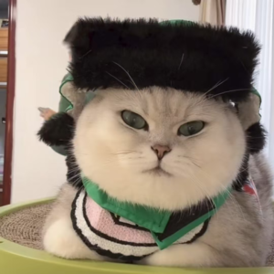 资本市场舆情解读【12月10日】