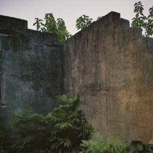 VOL148.在废墟上重建希望：多亲近大自然，磁场会变得越来越好！