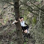 诶问问呀问问噢