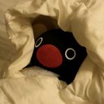 桃跑薯片