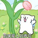 山鸟与鱼_ZcGC