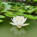 欧阳小楼