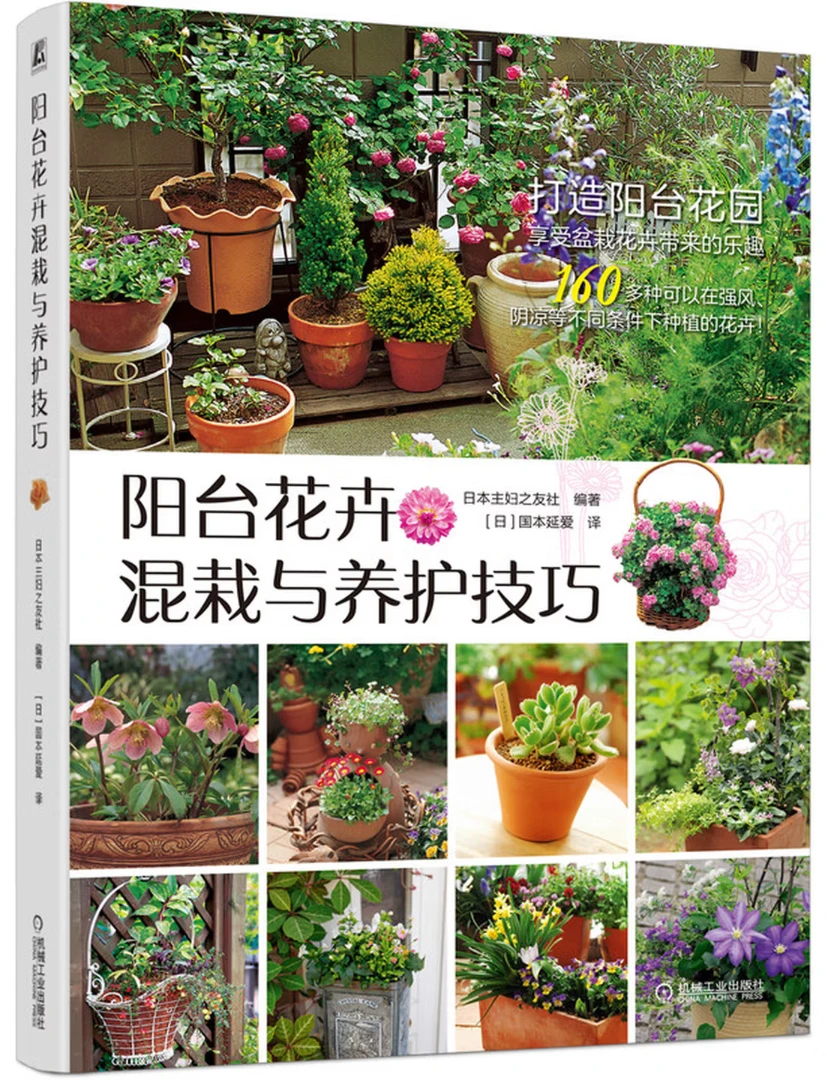 阳台花卉混栽与养护技巧