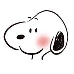 today的圆子