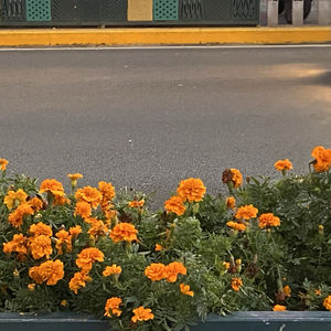 香农韦弗、双向传播、循环模式