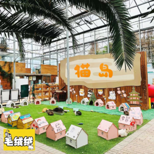 EP.10 |上海有座岛，岛上全是猫！