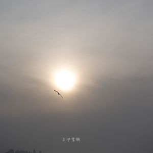 078 接受生活无法被掌控，狼狈但从容地面对人生
