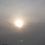 078 接受生活无法被掌控，狼狈但从容地面对人生