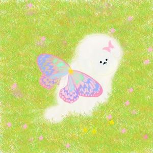 夏知禾