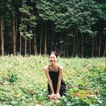 甘露寺种橘子树