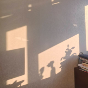 vol.5 我们要高看自己两眼