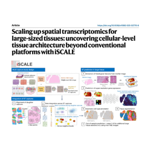 220-iSCALE: Spatial Transcriptomics for Large Tissues