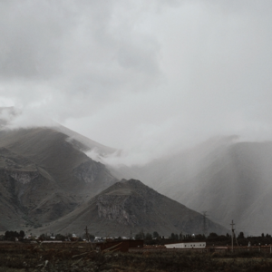 鬼台第493期:孤山若岛