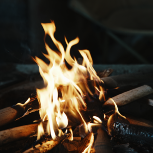 Vol.6 外面风雪鼎沸，冬至快乐，惊竹娇 | 冬至