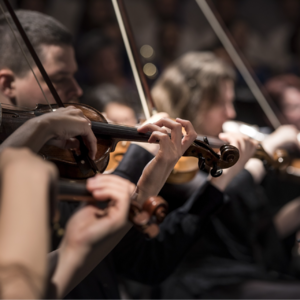 EP49 基于投影过滤器的突破动量交易策略