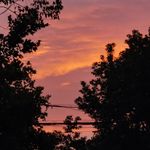 取了个九个字的名字