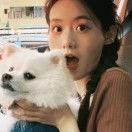 小吉好运来