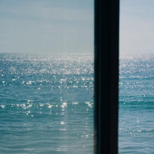 Vol.045ㅣ2023年金星逆行，上升十二星座避雷指南