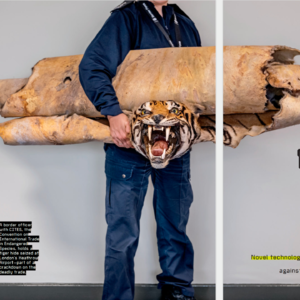64-Wildlife Forensics: Combating Crime