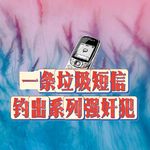 168.一条垃圾短信钓出系列强奸犯｜老警察讲故事