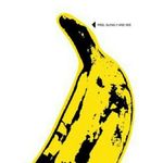 香蕉蕉蕉