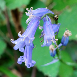 EP9. 旅行的意义:释放另一个人设