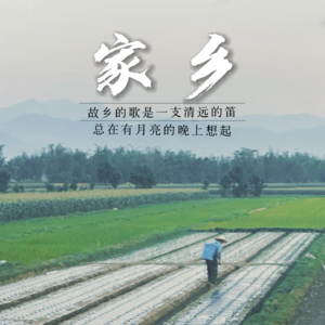 vol. 005 离开家乡,遇见家乡