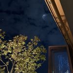 雷蒙德之功夫熊猫